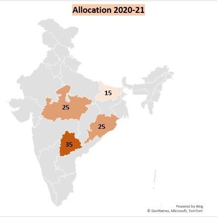 Total Allocation - 100