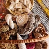 Eri Silk Value Chain