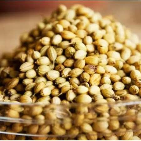 Coriander Value Chain